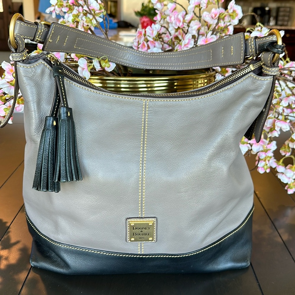 Dooney & Bourke Sophie Hobo leather bag.